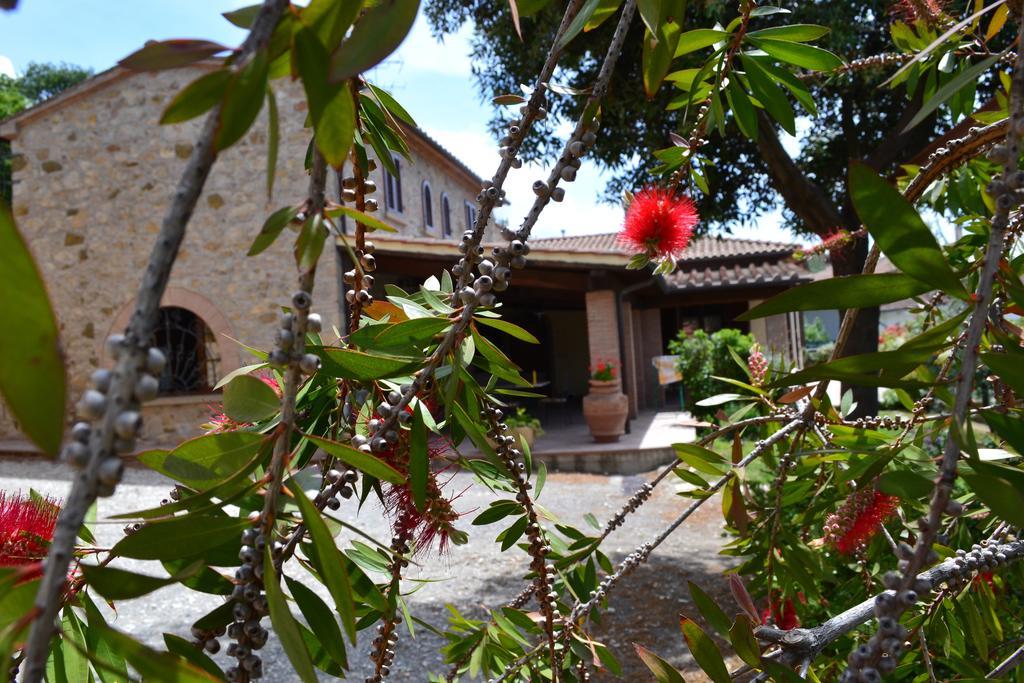 Agriturismo La Ghiraia Santa Luce Zimmer foto